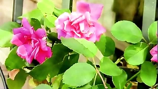 A short film on every side a man missing his dear one&period;  Fully nude&period;